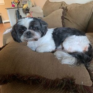 Meet your Posher, Tracy